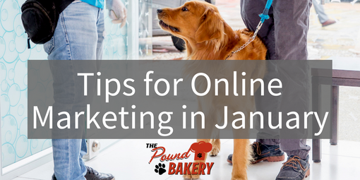 Marketing Tips For Your Pet Business in the New Year
