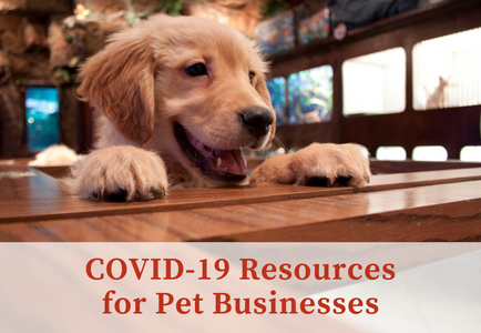 COVID-19 Resources for Pet Businesses